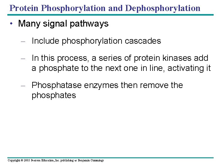 Protein Phosphorylation and Dephosphorylation • Many signal pathways – Include phosphorylation cascades – In