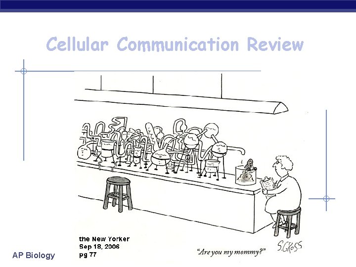 Cellular Communication Review Denise Green AP Biology 