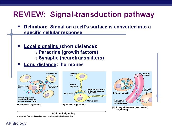 REVIEW: Signal-transduction pathway § Definition: Signal on a cell’s surface is converted into a