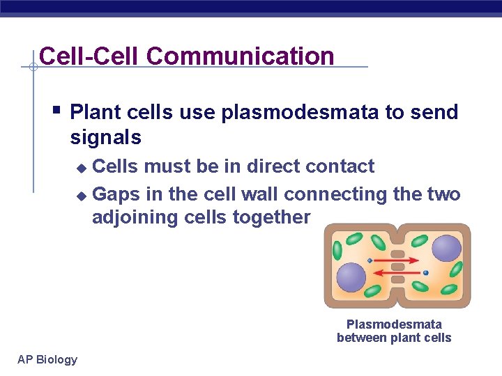 Cell-Cell Communication § Plant cells use plasmodesmata to send signals Cells must be in
