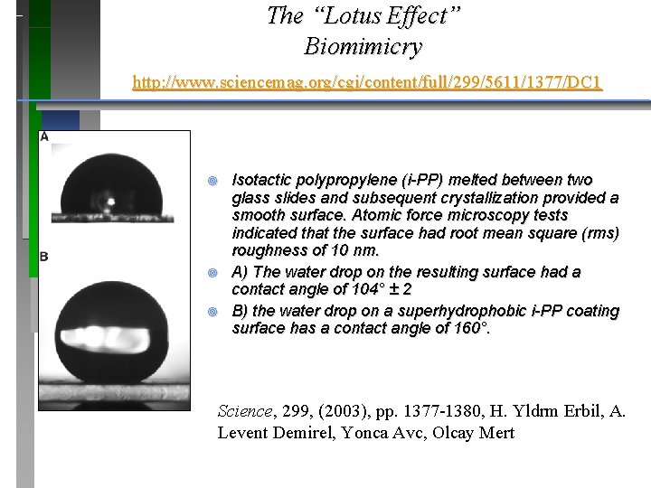 The “Lotus Effect” Biomimicry http: //www. sciencemag. org/cgi/content/full/299/5611/1377/DC 1 ¥ ¥ ¥ Isotactic polypropylene