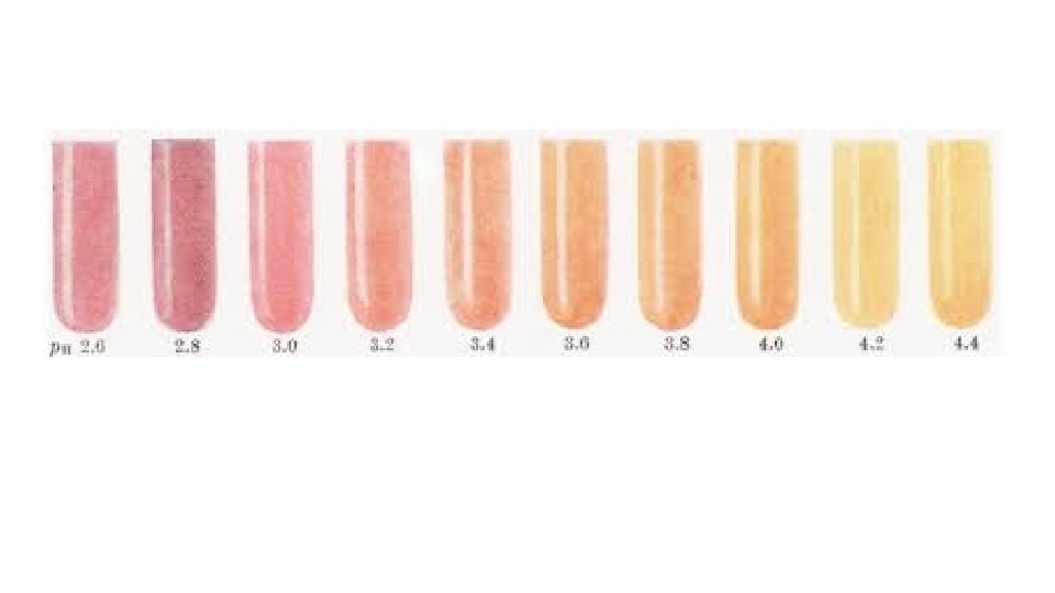 Lab practicals 2016 Paper 33 Tue 24 May