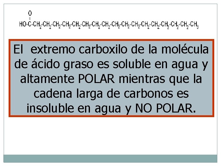 El extremo carboxilo de la molécula de ácido graso es soluble en agua y