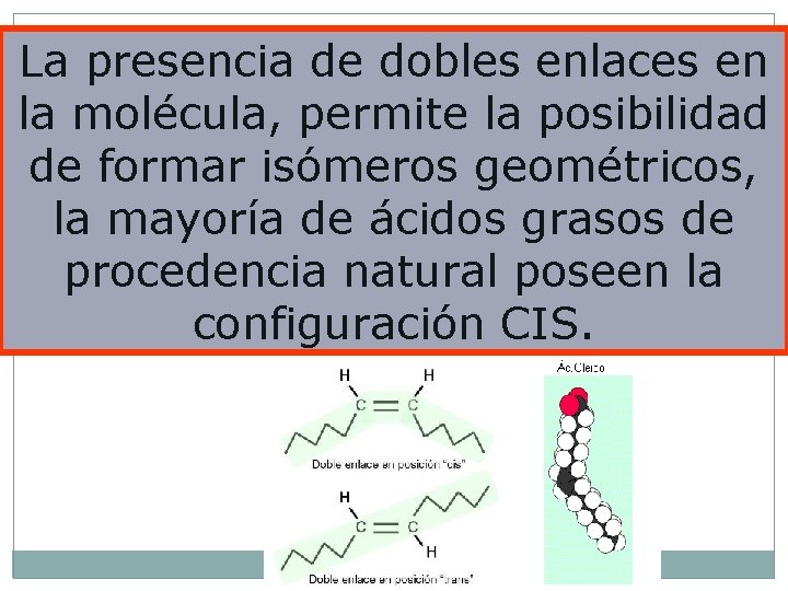 La presencia de dobles enlaces en la molécula, permite la posibilidad de formar isómeros