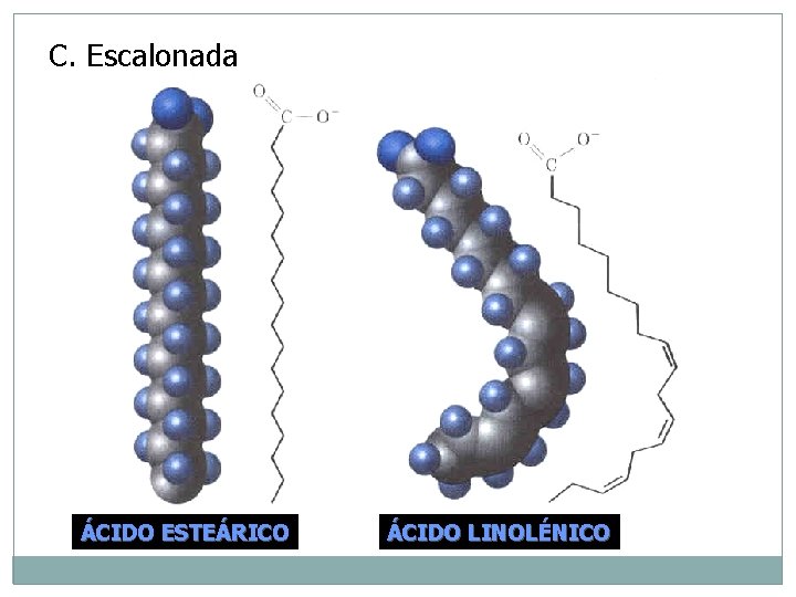 C. Escalonada ÁCIDO ESTEÁRICO ÁCIDO LINOLÉNICO 