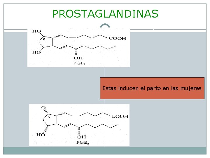 PROSTAGLANDINAS Estas inducen el parto en las mujeres 9 