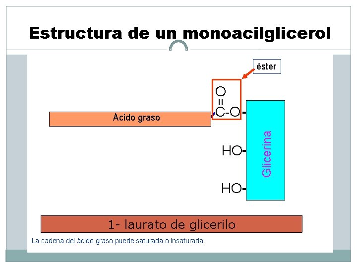 Estructura de un monoacilglicerol éster = O C-O CH 2 Glicerina Ácido graso HO
