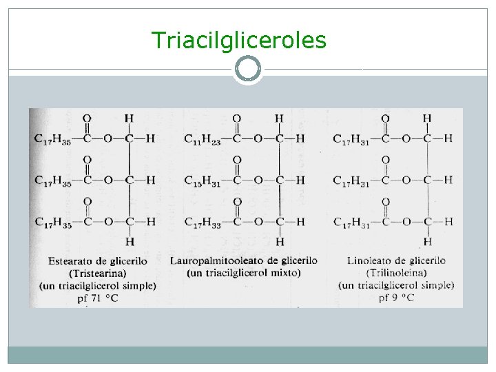 Triacilgliceroles 