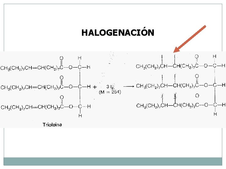 HALOGENACIÓN 