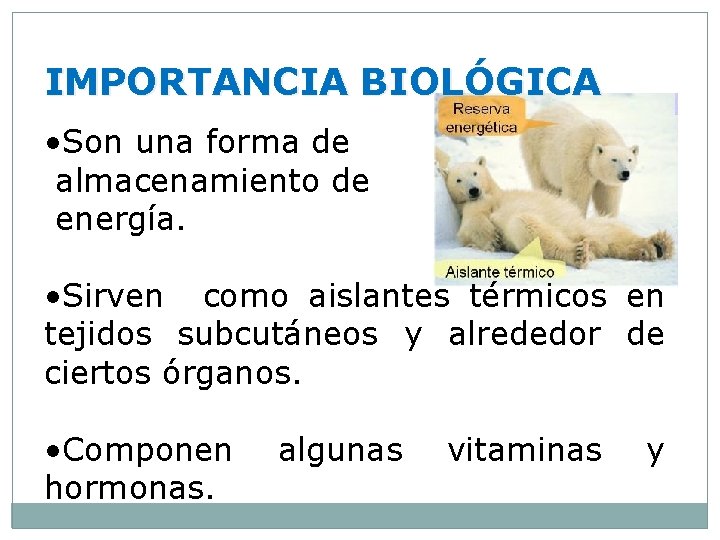 IMPORTANCIA BIOLÓGICA • Son una forma de almacenamiento de energía. • Sirven como aislantes