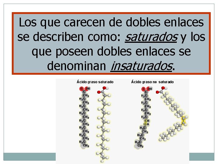 Los que carecen de dobles enlaces se describen como: saturados y los que poseen