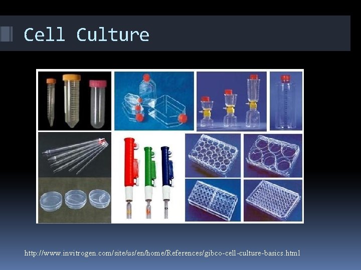 Cell Culture http: //www. invitrogen. com/site/us/en/home/References/gibco-cell-culture-basics. html 