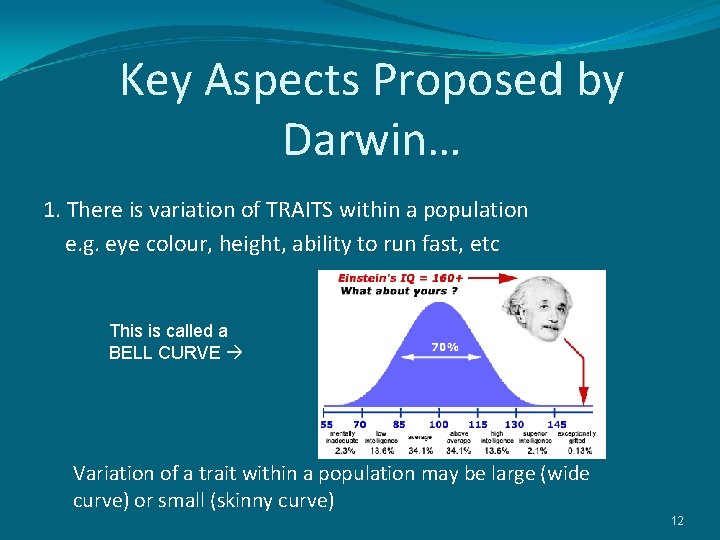 Key Aspects Proposed by Darwin… 1. There is variation of TRAITS within a population