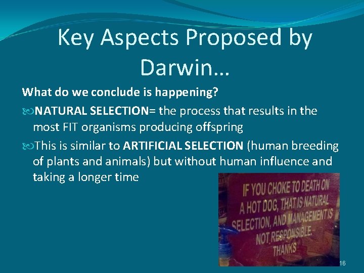 Key Aspects Proposed by Darwin… What do we conclude is happening? NATURAL SELECTION= the