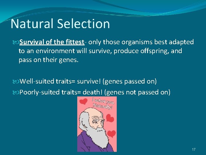 Natural Selection Survival of the fittest- only those organisms best adapted to an environment