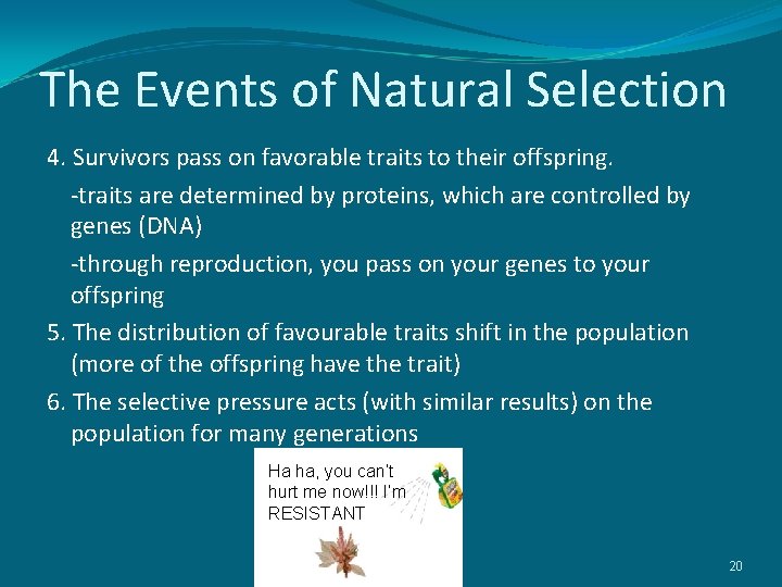 The Events of Natural Selection 4. Survivors pass on favorable traits to their offspring.