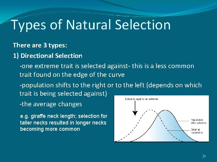 Types of Natural Selection There are 3 types: 1) Directional Selection -one extreme trait