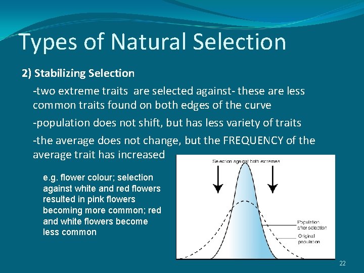 Types of Natural Selection 2) Stabilizing Selection -two extreme traits are selected against- these