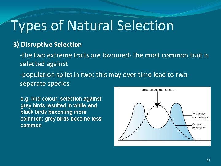 Types of Natural Selection 3) Disruptive Selection -the two extreme traits are favoured- the
