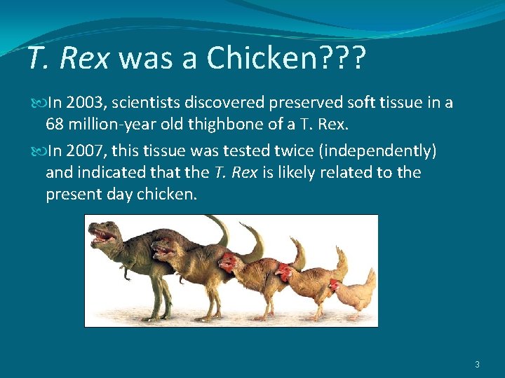 T. Rex was a Chicken? ? ? In 2003, scientists discovered preserved soft tissue