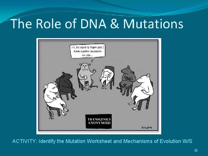 The Role of DNA & Mutations ACTIVITY: Identify the Mutation Worksheet and Mechanisms of