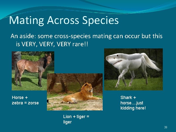 Mating Across Species An aside: some cross-species mating can occur but this is VERY,