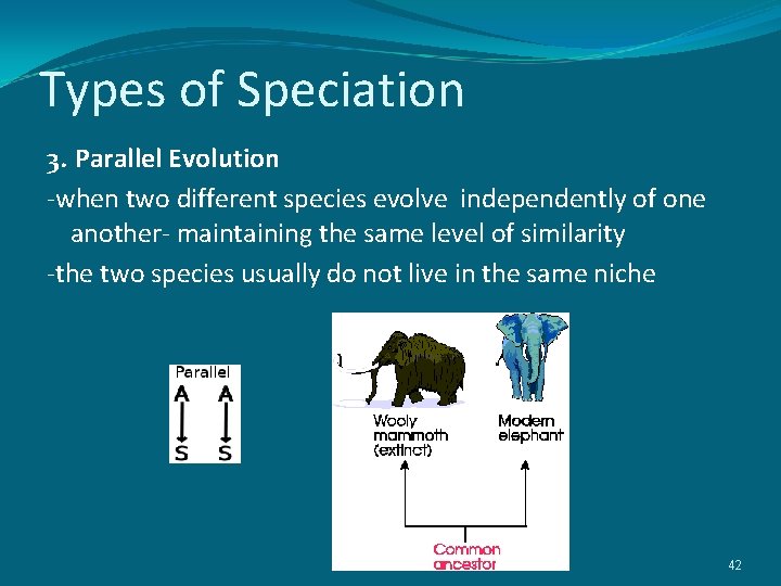 Types of Speciation 3. Parallel Evolution -when two different species evolve independently of one