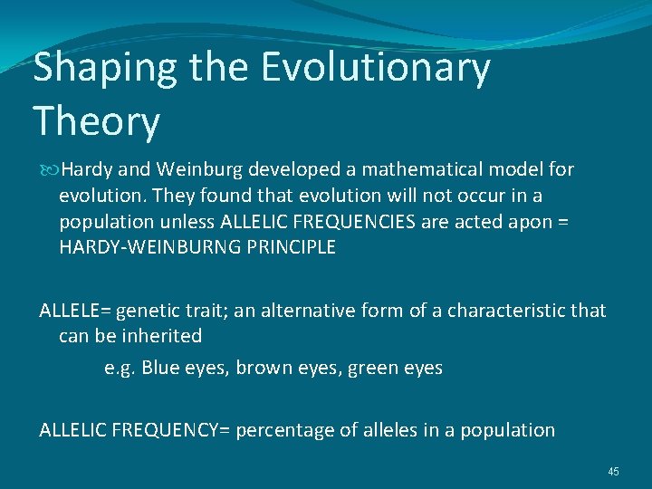 Shaping the Evolutionary Theory Hardy and Weinburg developed a mathematical model for evolution. They