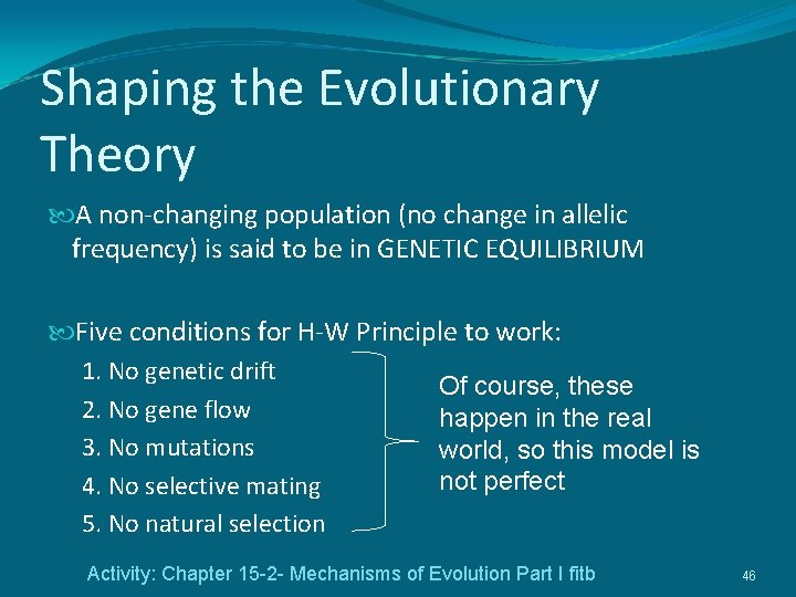 Shaping the Evolutionary Theory A non-changing population (no change in allelic frequency) is said