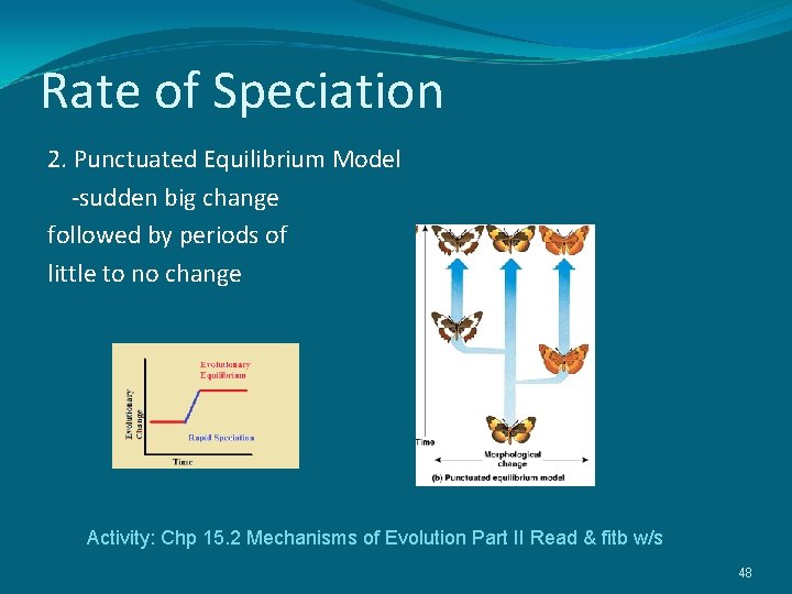 Rate of Speciation 2. Punctuated Equilibrium Model -sudden big change followed by periods of