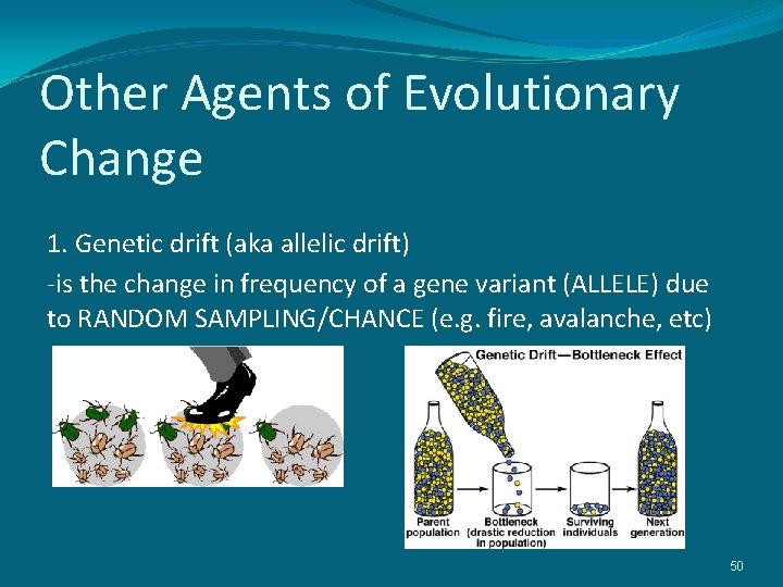 Other Agents of Evolutionary Change 1. Genetic drift (aka allelic drift) -is the change