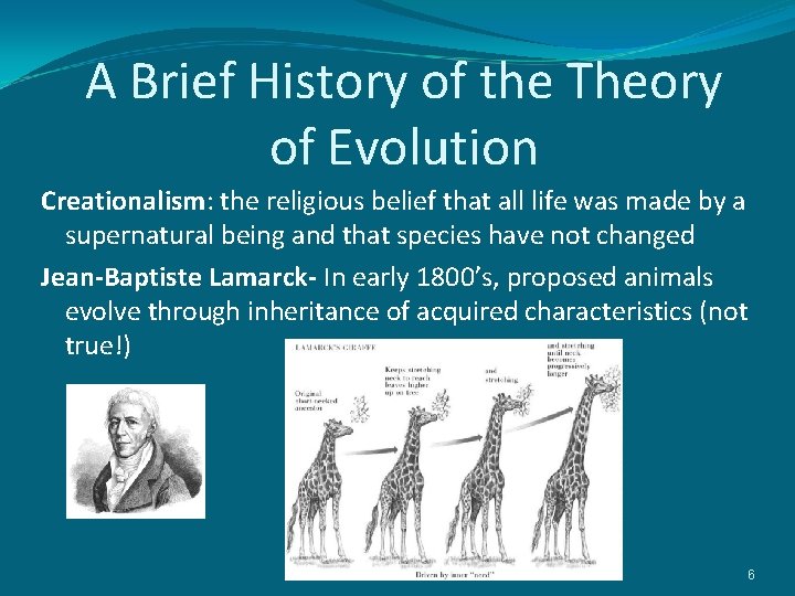 A Brief History of the Theory of Evolution Creationalism: the religious belief that all