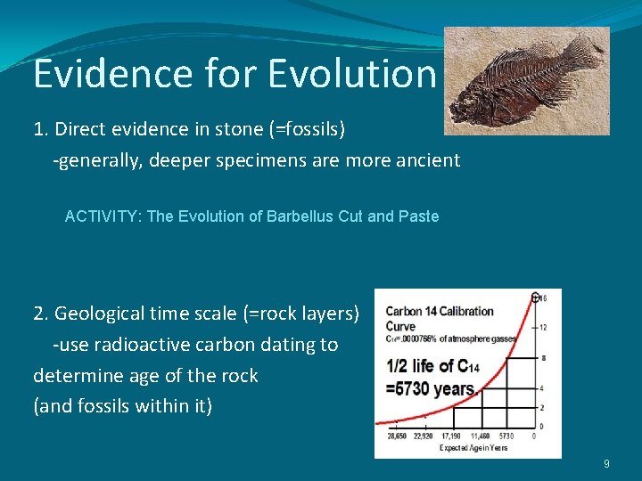 Evidence for Evolution 1. Direct evidence in stone (=fossils) -generally, deeper specimens are more