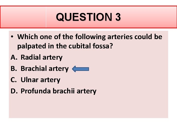 QUESTION 3 • Which one of the following arteries could be palpated in the QUESTION 3 • Which one of the following arteries could be palpated in the