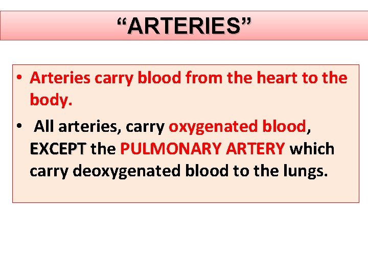 “ARTERIES” • Arteries carry blood from the heart to the body. • All arteries, “ARTERIES” • Arteries carry blood from the heart to the body. • All arteries,