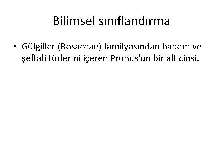 Bilimsel sınıflandırma • Gülgiller (Rosaceae) familyasından badem ve şeftali türlerini içeren Prunus'un bir alt