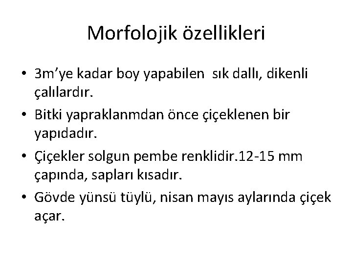 Morfolojik özellikleri • 3 m’ye kadar boy yapabilen sık dallı, dikenli çalılardır. • Bitki