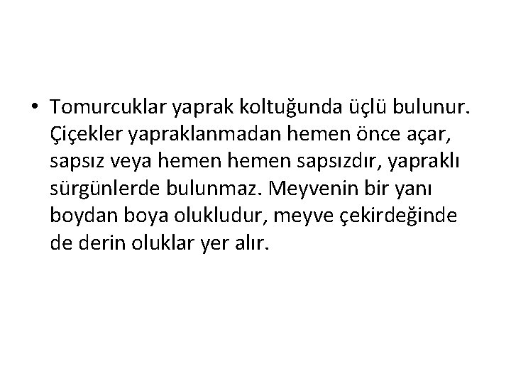  • Tomurcuklar yaprak koltuğunda üçlü bulunur. Çiçekler yapraklanmadan hemen önce açar, sapsız veya