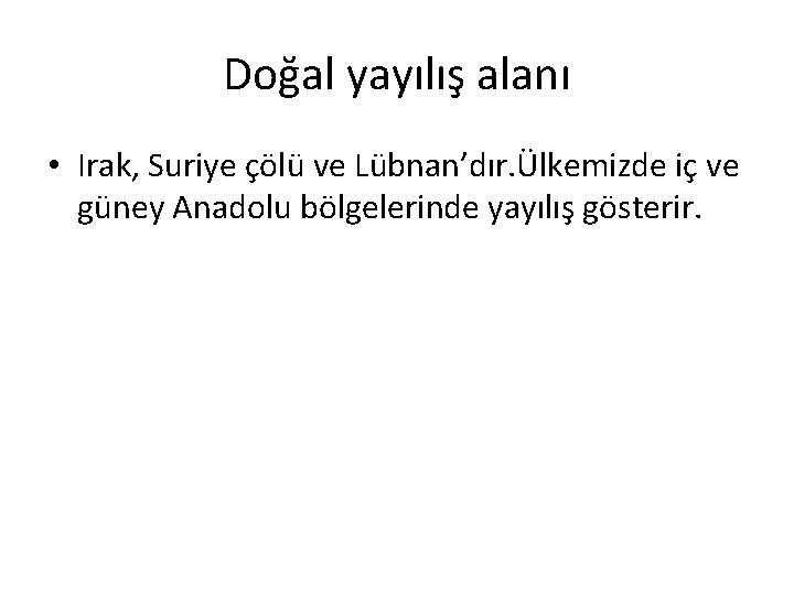 Doğal yayılış alanı • Irak, Suriye çölü ve Lübnan’dır. Ülkemizde iç ve güney Anadolu