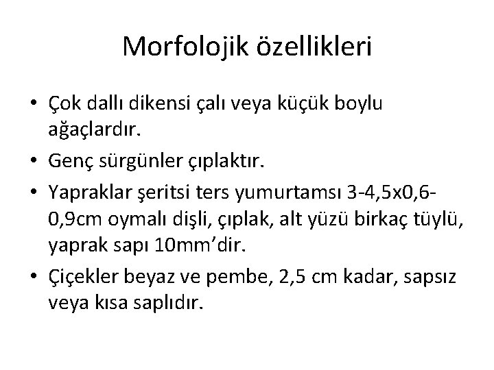Morfolojik özellikleri • Çok dallı dikensi çalı veya küçük boylu ağaçlardır. • Genç sürgünler