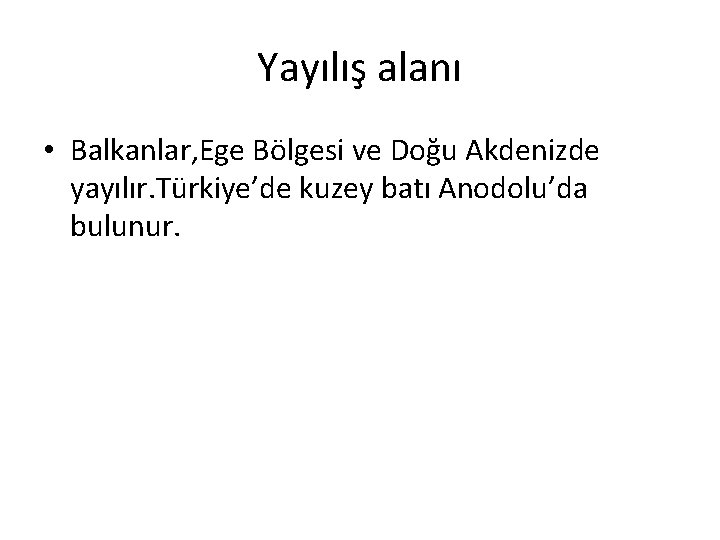 Yayılış alanı • Balkanlar, Ege Bölgesi ve Doğu Akdenizde yayılır. Türkiye’de kuzey batı Anodolu’da
