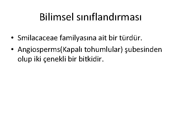 Bilimsel sınıflandırması • Smilacaceae familyasına ait bir türdür. • Angiosperms(Kapalı tohumlular) şubesinden olup iki