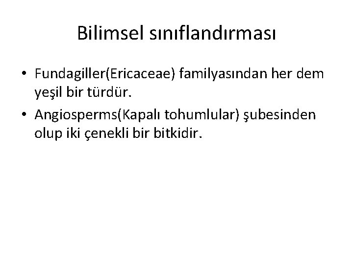 Bilimsel sınıflandırması • Fundagiller(Ericaceae) familyasından her dem yeşil bir türdür. • Angiosperms(Kapalı tohumlular) şubesinden