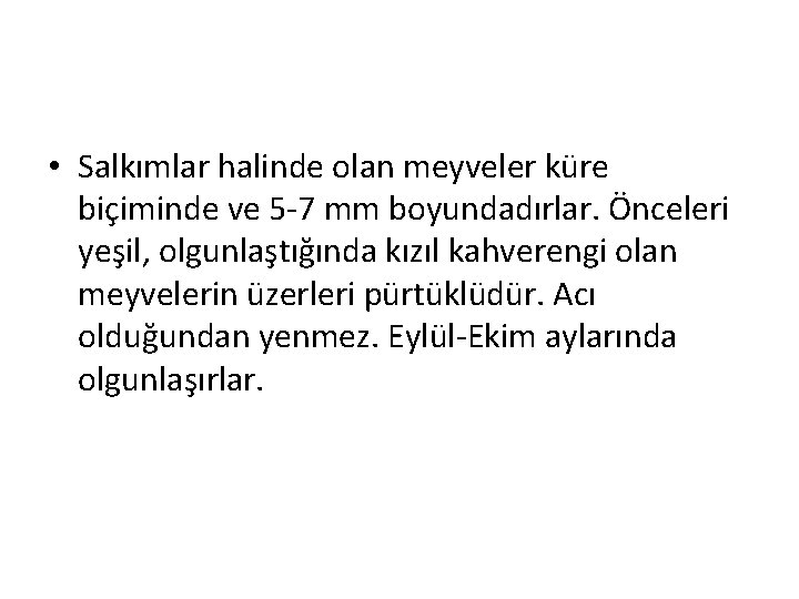  • Salkımlar halinde olan meyveler küre biçiminde ve 5 -7 mm boyundadırlar. Önceleri