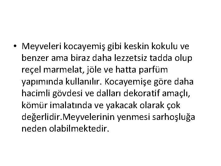  • Meyveleri kocayemiş gibi keskin kokulu ve benzer ama biraz daha lezzetsiz tadda