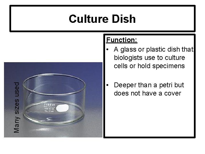 Culture Dish Many sizes used Function: • A glass or plastic dish that biologists