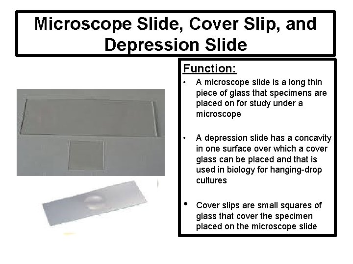 Microscope Slide, Cover Slip, and Depression Slide Function: • A microscope slide is a