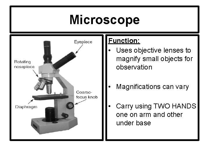 Microscope Function: • Uses objective lenses to magnify small objects for observation • Magnifications