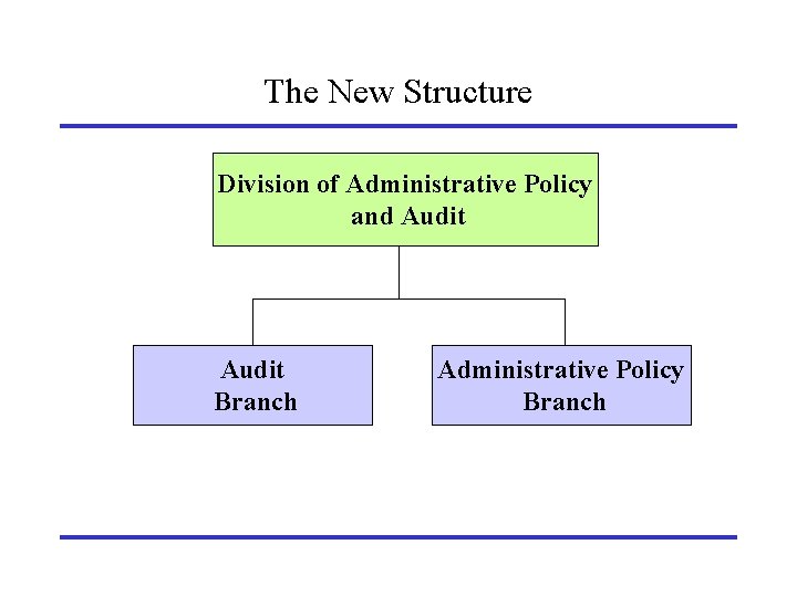 The New Structure Division of Administrative Policy and Audit Branch Administrative Policy Branch 