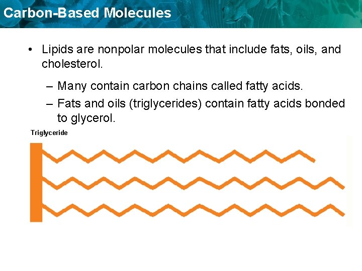Carbon-Based Molecules • Lipids are nonpolar molecules that include fats, oils, and cholesterol. –